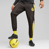 Borussia Dortmund bal Puma Pre Match geel
